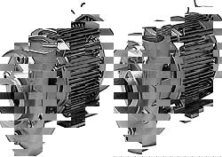 AC Straight Pump: 230/460V, 10 hp, 3 Phase, Stainless Steel Housing, Stainless Steel Impeller